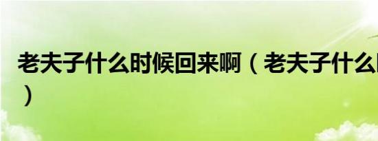 老夫子什么时候回来啊（老夫子什么时候回来）