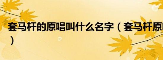 套马杆的原唱叫什么名字（套马杆原唱被起诉）