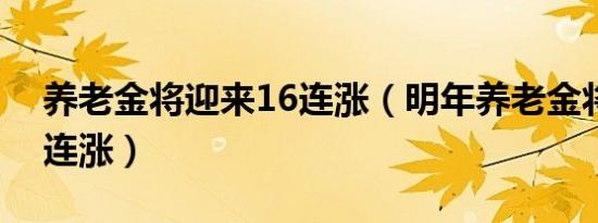 养老金将迎来16连涨（明年养老金将迎十四连涨）