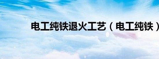 电工纯铁退火工艺（电工纯铁）