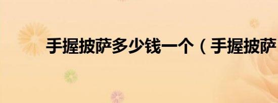 手握披萨多少钱一个（手握披萨）