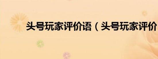 头号玩家评价语（头号玩家评价）
