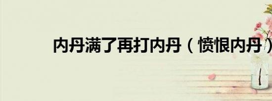 内丹满了再打内丹（愤恨内丹）