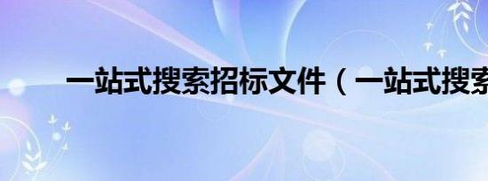 一站式搜索招标文件（一站式搜索）