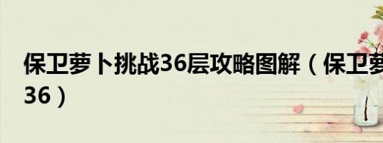 保卫萝卜挑战36层攻略图解（保卫萝卜 挑战36）