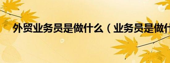 外贸业务员是做什么（业务员是做什么）
