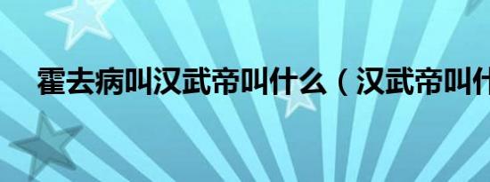 霍去病叫汉武帝叫什么（汉武帝叫什么）