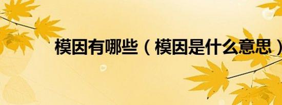模因有哪些（模因是什么意思）