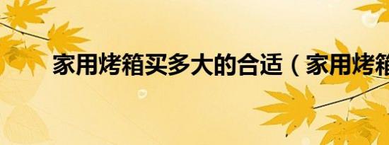 家用烤箱买多大的合适（家用烤箱）