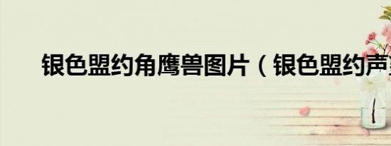 银色盟约角鹰兽图片（银色盟约声望）