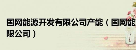 国网能源开发有限公司产能（国网能源开发有限公司）