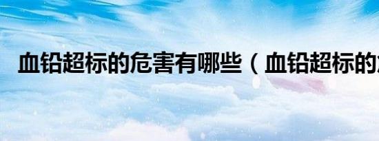 血铅超标的危害有哪些（血铅超标的危害）