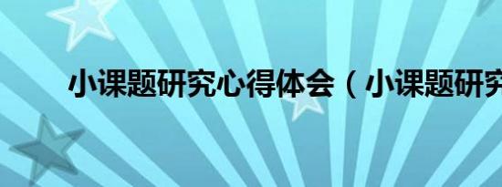 小课题研究心得体会（小课题研究）