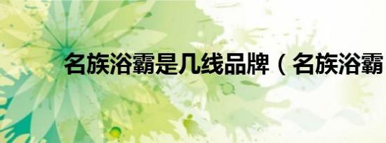 名族浴霸是几线品牌（名族浴霸）