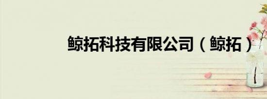 鲸拓科技有限公司（鲸拓）