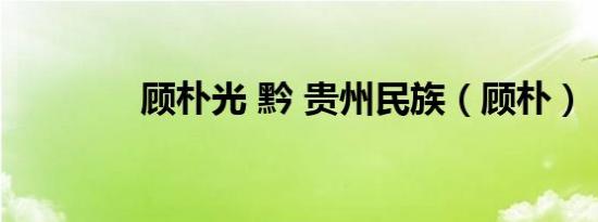 顾朴光 黔 贵州民族（顾朴）