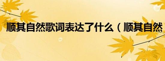 顺其自然歌词表达了什么（顺其自然 歌词）