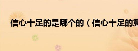 信心十足的是哪个的（信心十足的意思）