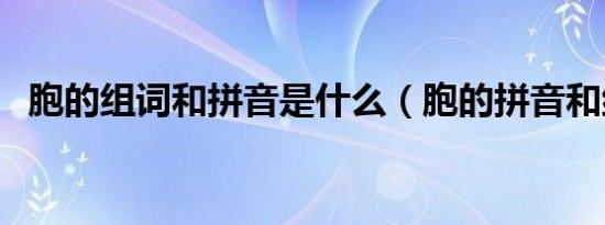 胞的组词和拼音是什么（胞的拼音和组词）