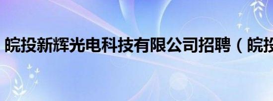 皖投新辉光电科技有限公司招聘（皖投新辉）
