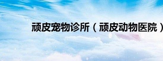 顽皮宠物诊所（顽皮动物医院）