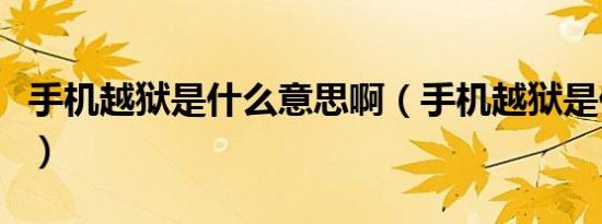 手机越狱是什么意思啊（手机越狱是什么意思）