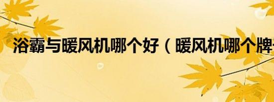 浴霸与暖风机哪个好（暖风机哪个牌子好）