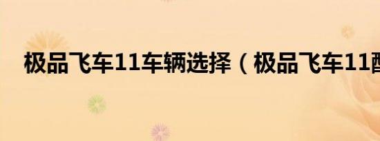 极品飞车11车辆选择（极品飞车11配置）