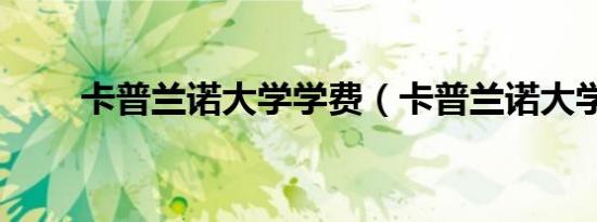 卡普兰诺大学学费（卡普兰诺大学）