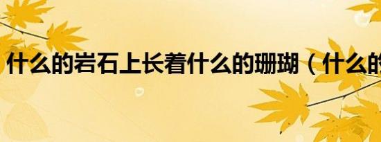 什么的岩石上长着什么的珊瑚（什么的岩石）