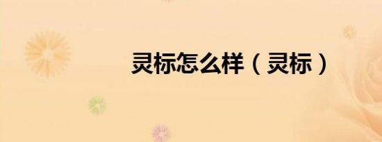 灵标怎么样（灵标）