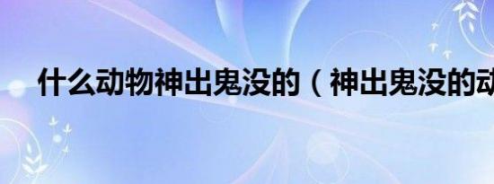 什么动物神出鬼没的（神出鬼没的动物）