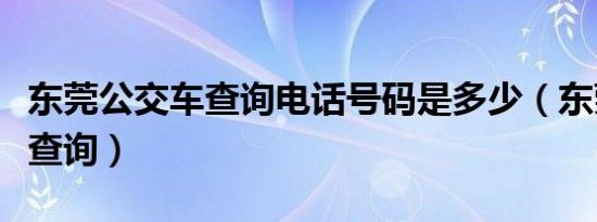 东莞公交车查询电话号码是多少（东莞公交车查询）