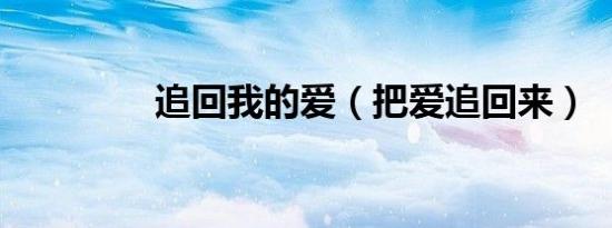 追回我的爱（把爱追回来）