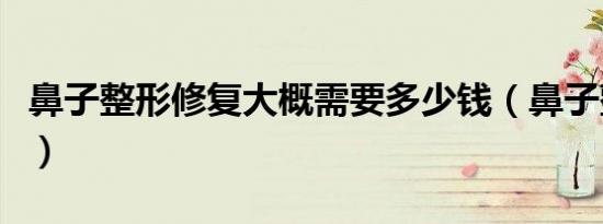 鼻子整形修复大概需要多少钱（鼻子整形修复）