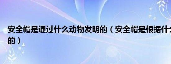 安全帽是通过什么动物发明的（安全帽是根据什么动物发明的）