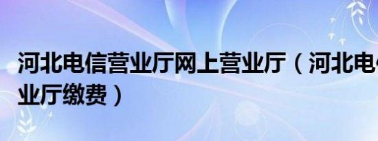 河北电信营业厅网上营业厅（河北电信网上营业厅缴费）