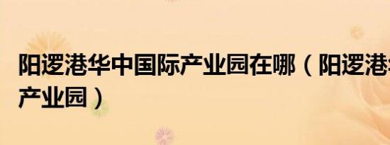 阳逻港华中国际产业园在哪（阳逻港华中国际产业园）