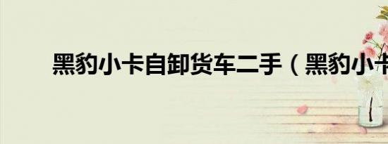 黑豹小卡自卸货车二手（黑豹小卡）