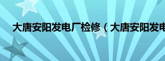 大唐安阳发电厂检修（大唐安阳发电厂）