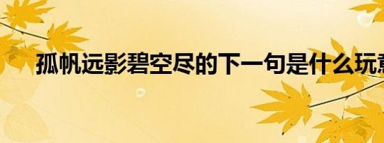 孤帆远影碧空尽的下一句是什么玩意儿