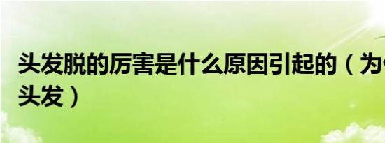 头发脱的厉害是什么原因引起的（为什么会掉头发）