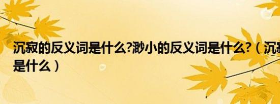 沉寂的反义词是什么?渺小的反义词是什么?（沉寂的反义词是什么）