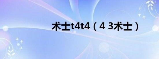 术士t4t4（4 3术士）