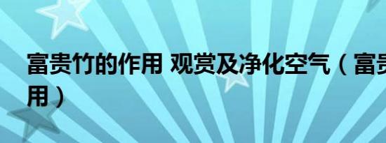 富贵竹的作用 观赏及净化空气（富贵竹的作用）