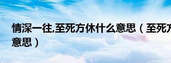 情深一往,至死方休什么意思（至死方休什么意思）