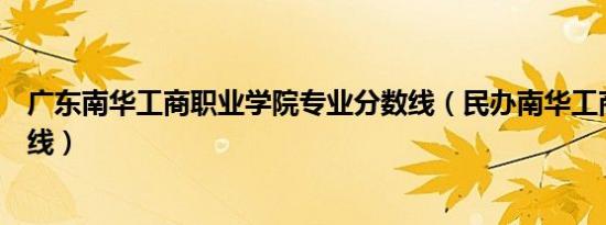 广东南华工商职业学院专业分数线（民办南华工商学院分数线）