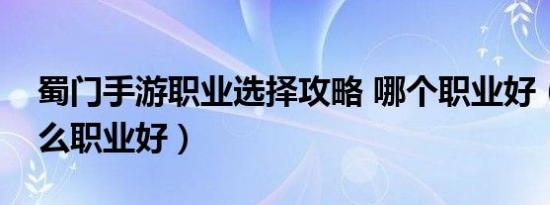 蜀门手游职业选择攻略 哪个职业好（蜀门什么职业好）