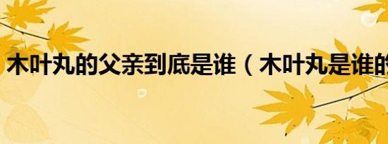 木叶丸的父亲到底是谁（木叶丸是谁的儿子）