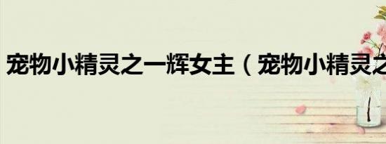 宠物小精灵之一辉女主（宠物小精灵之一辉）